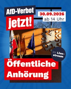 Anhörung AfD-Verbot